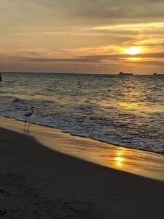 San Jose de los Acuarios - 0