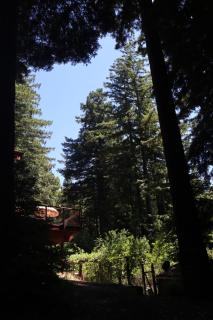 The paradise Retreats - Bonny Doon - 1