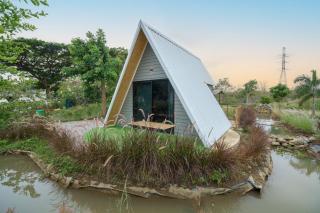 Cat A Camp - Khao Yai - - 3