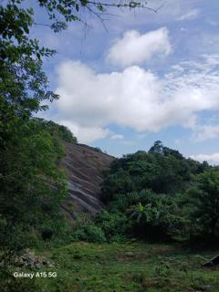 Vagamon Mist valley - Vagamon - 9