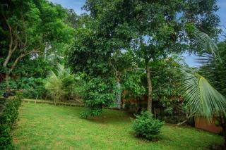 Back Forest Villa - 8