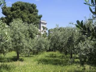Villa Castello Claves - Santa Tecla - 6