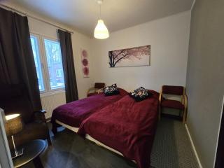 Hovinsaaren remontoitu huoneisto - 2