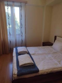 Dilijan Dream Apartment - Dilijan - 2