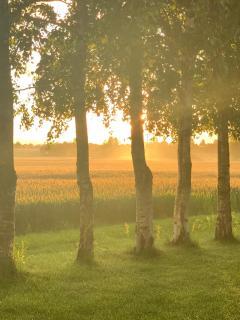 Romantic Luxus Glamping 1 - Idestrup - 9