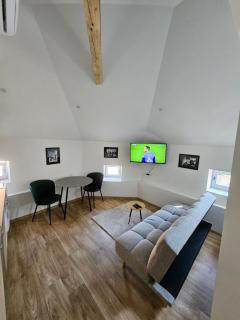 Magazaki Apartments Tešnjar - Valjevo - 6