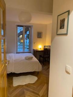 Charming fully renovated flat in old-town - Ferney-Voltaire - 9