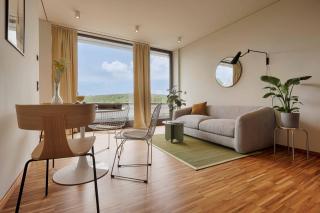 homie stay Architektenapartments im Grünen mit Blick auf die Würzburger Innenstadt - Würzburg - 5