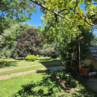 Appartamento Rosa blu - San Casciano dei Bagni - 9