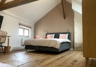 Opera Boutique Rooms - Gand - 9