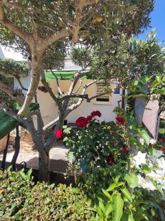 Susy - Umag - 9