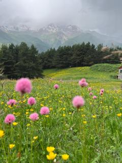 Elia Hut Kazbegi - 3