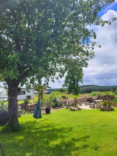 Ferienhaus Palmenland - Landscheid - 5