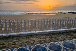 ETHER Marari Beachfront - Mararikulam - 6