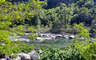 Camping Piccolo Paradiso - Avegno - 5