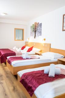 Hotel Center Bohinjsko Jezero - 1