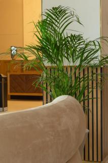 Hotel Lupa by Bueno - Constança - 4