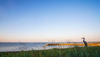 -LE ROOF- Sublime rooftop Concarneau hyper centre - 4