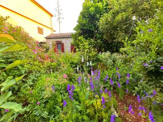 Apartments Cvita - Veli Lošinj - 5