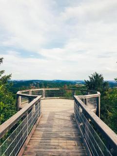 Ferienwohnung Waldbröl - nahe Naturerlebnispark - Waldbröl - 7