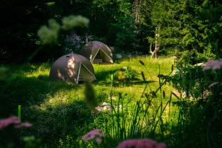 Eco Bivouac village igloos Annecy - LE SEMNOZ - à 20 minutes d'Annecy - Annecy - 1