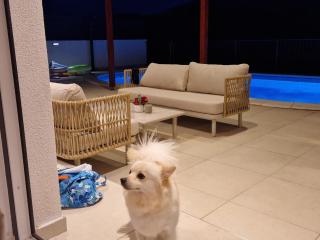 Villa LucaToni - heated pool - Šibenik - 3