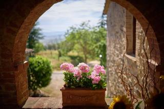 Agriturismo Le Case - Castiglione dʼOrcia - 6
