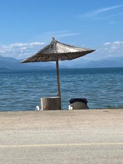 Tushemisht Lake View Studio Apartment - 8