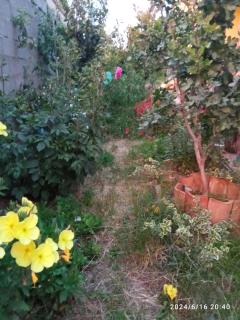The house has a nice view - Tbilisi - 6