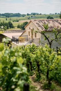 Gîte au cœur des vignes - 0