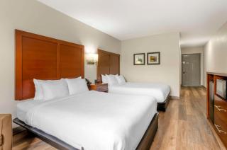 Comfort Inn Wytheville - Fort Chiswell - Wytheville - 4