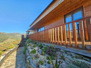 Casa Touriga - Armamar - 3