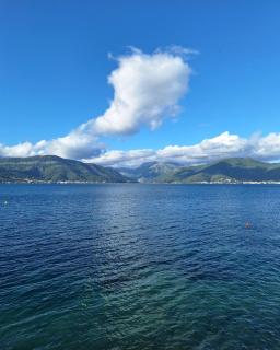 Apartments Ponta Krasici - Tivat - 8