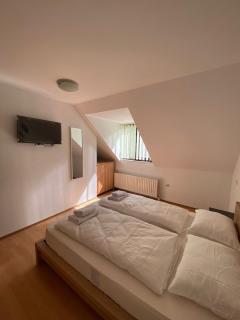 MAT & EDW RooM - Câmpulung Moldovenesc - 0