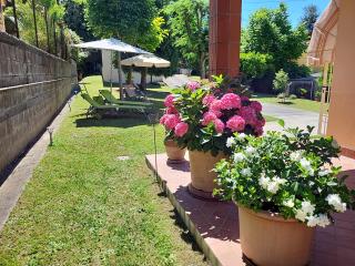 The House of Citrus - amazing country house near Viareggio beach and Lucca - Stiava - 8