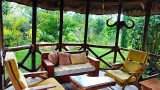 Podocarpus cottages - 9