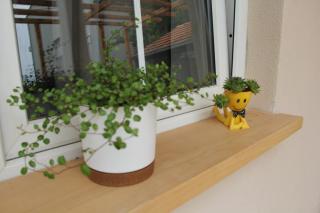 Apartman Lilium - Knin - 9
