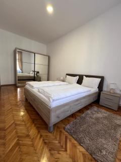 Alice apartament centru Sibiu - Sibiu - 1