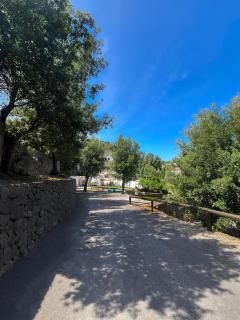 Ischia Villa Casa Caruso con piscina 6 posti letto - Isquia - 1
