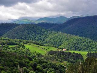 Dilijan - Dilijan - 4