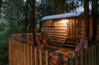 Llethrau Forest & Nature Retreats - 0