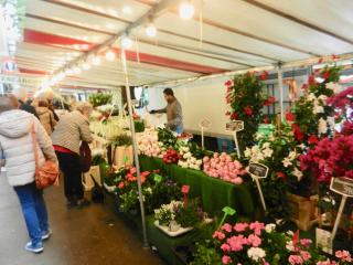 Deux pièces de standing, climatisé - 4