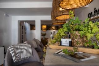 Olive & Ivy Guesthouse - 1