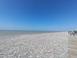 appartement la mer - Cayeux-sur-Mer - 9