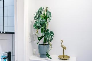 Northgate Apartment - Chester - 1