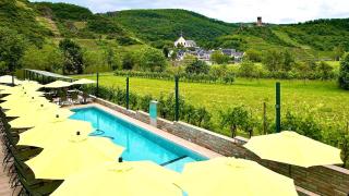 Mosel Village Resort - Ellenz-Poltersdorf - 3