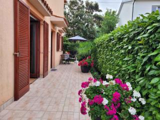 Apartment Valbandon, Istia 2 - Valbandon - 1