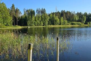 Mökki ympärivuotinen, Tammela - Tammela - 1