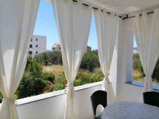 Apartments Dora Bibinje, 30 m from the sea - Bibinje - 7