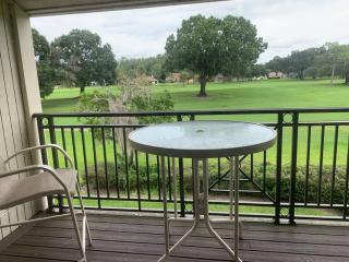 Golf View Two Bed Two Bath Condo with Kitchen Near Tampa - Zephyrhills - 7
